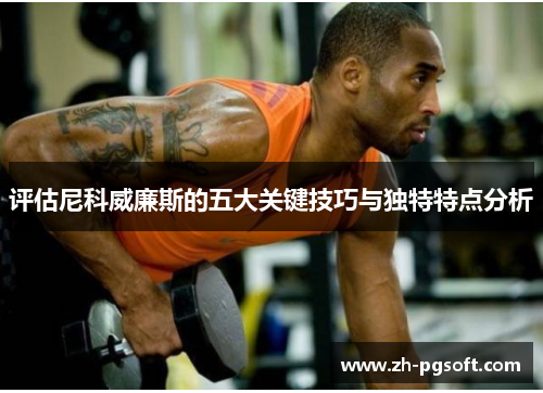 评估尼科威廉斯的五大关键技巧与独特特点分析