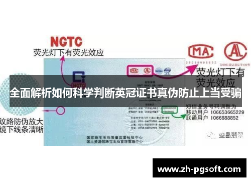 全面解析如何科学判断英冠证书真伪防止上当受骗 全面解析如何科学判断英冠证书真伪防止上当受骗
